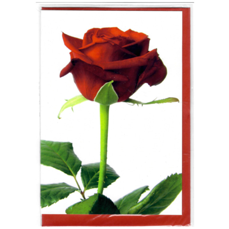 Glückwunschkarte rote Rose Billet mit Kuvert romantische Grußkarte